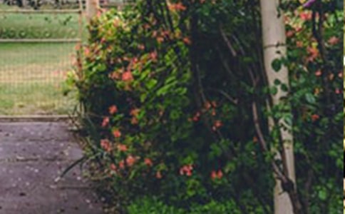 �����T��С�^(q��)�Ļ��@����