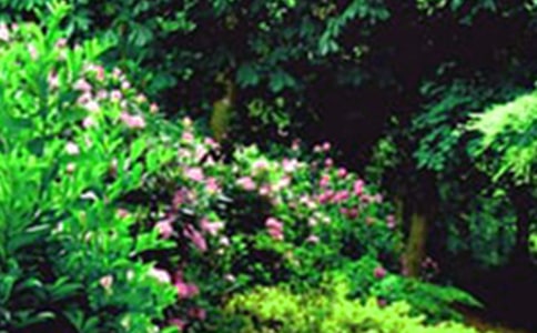 �����@����