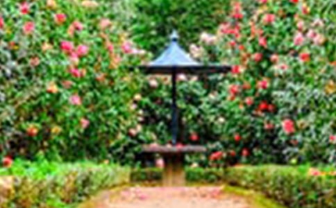 ���˵Ļ��@�̌W(xu��)��䛅R��(6ƪ)