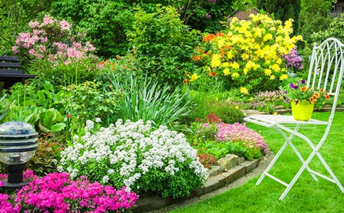 �ҼҵĻ��@����(ͨ��)