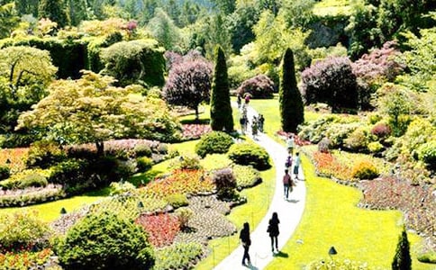 [��Ʒ]�ҼҵĻ��@����15ƪ