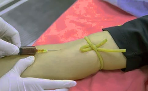 ������_�������߲��v