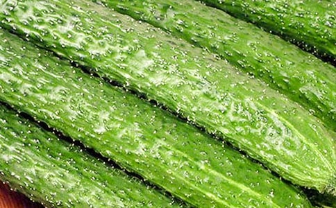 �S�ϵ���������7ƪ�����x��