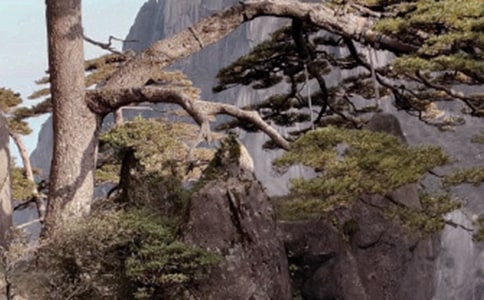 �Sɽ�����~����