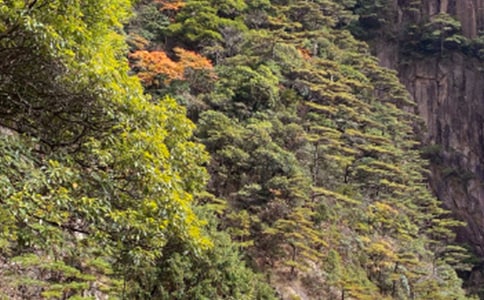 �Sɽ��Ԋ��