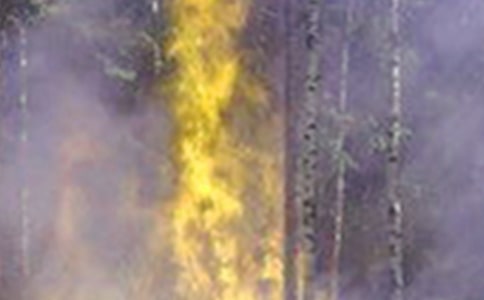 防火災(zāi)的演講稿范文9篇(熱)