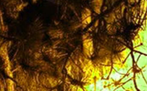 ��Ҋ���(z��i)��������ʲô��˼