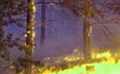 ����[������Ų鹤�����Y