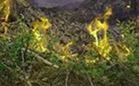 火災(zāi)無情作文