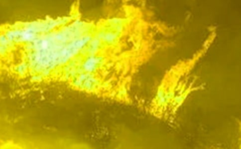 ׌���(z��i)�h�x�҂�����