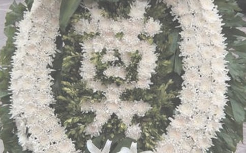 �W(w��ng)�ϼ���Ӣ�۵�����