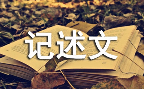 ����ӛ����