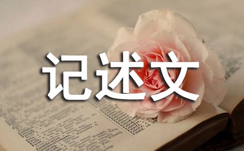 ů������ӛ����