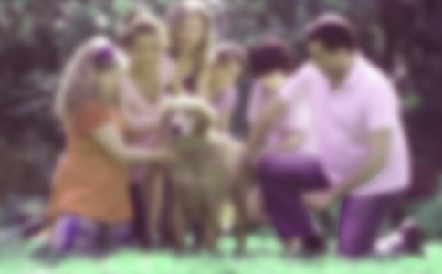 (優(yōu)秀)家庭教育經(jīng)驗(yàn)心得