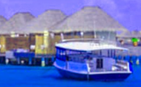 �ҵļ�������