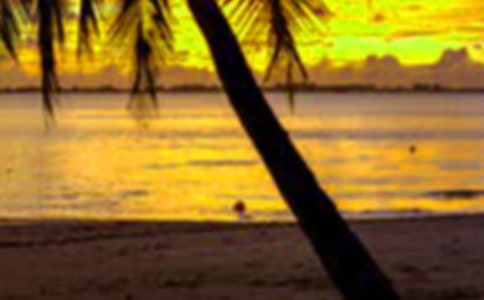 ���ڌ�(sh��)�`�ĵ��w��(hu��)