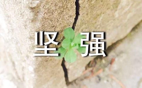 假裝堅強(qiáng)的句子