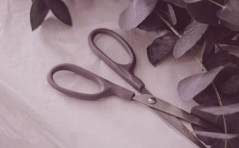 石頭剪刀布作文