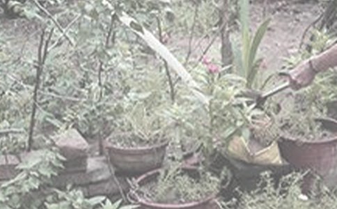 �������D��Ԓ