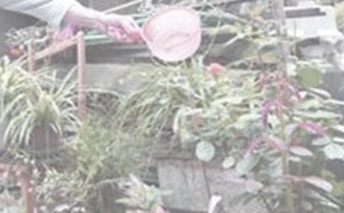 ������(y��u)������