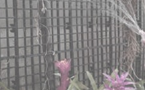 ���S�����������~����W(xu��)�����l(xi��ng)���N������������