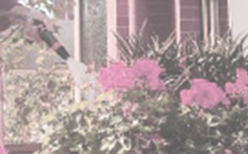 �������D��(xi��)Ԓ���\[33ƪ]