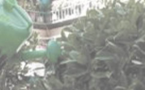 ����������(�R��15ƪ)