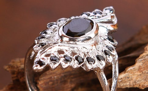 �ݽ�ָ����