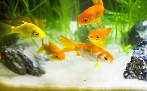 С���~(y��)�����\����10ƪ��