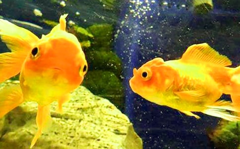 ���~����300�ֳ���7ƪ