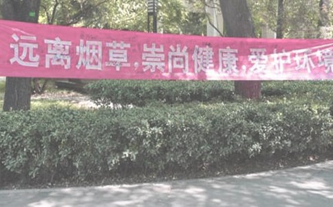 ���������ƶ�