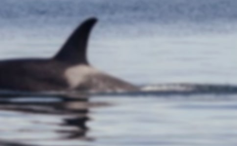 �L�~���U(xi��n)������������