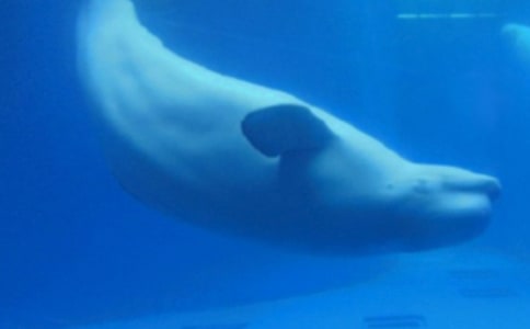 ��ͨ�ã��P(gu��n)���L�~������