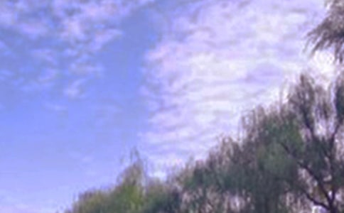 �����ľ�ɫԊ(sh��)��