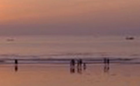 �P(gu��n)�ھ�ɫ����300�֣����x50ƪ��