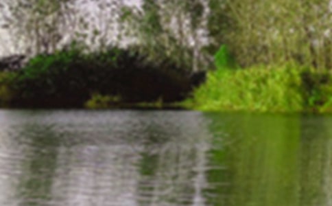 �P(gu��n)�ھ�ɫ������