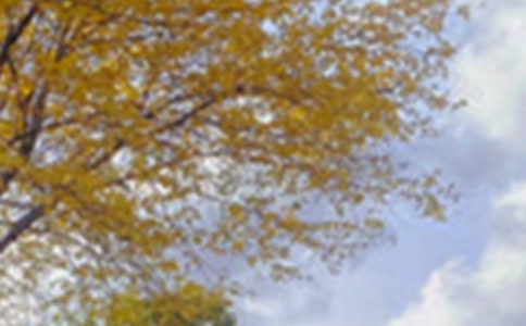 景色美文摘抄100字5篇