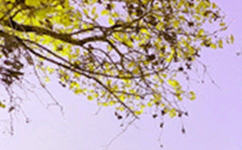 (精選)描寫西湖景色詩句