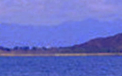 ���P(gu��n)��ɫ��Ԋ��