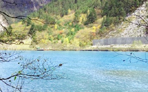 游九寨溝的作文