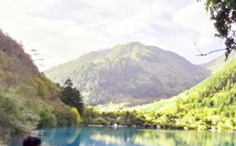 ��կ�����Ľ�(j��ng)��15ƪ