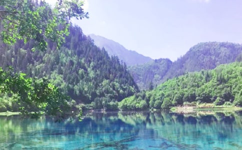 (��(sh��)��)�ξ�կ������