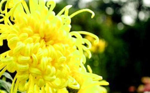 �ջ���Ԋ(sh��)��15ƪ