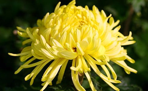 �ջ�Ԋ(sh��)��ժ�������x190�䣩