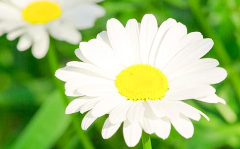 ��Ԋ���ף����Ϫ�(d��)������ �ջ���