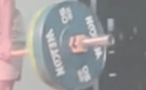 “舉重家”飛飛_小學(xué)作文