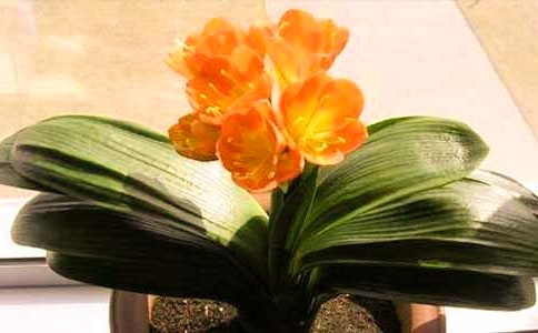 �����m����[ͨ��15ƪ]