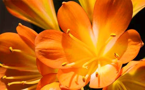 �����m����(��(y��u)�x15ƪ)