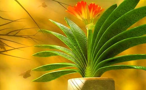 �����m���ģ��ϼ���