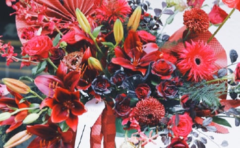 淘寶新店開張廣告語(yǔ)